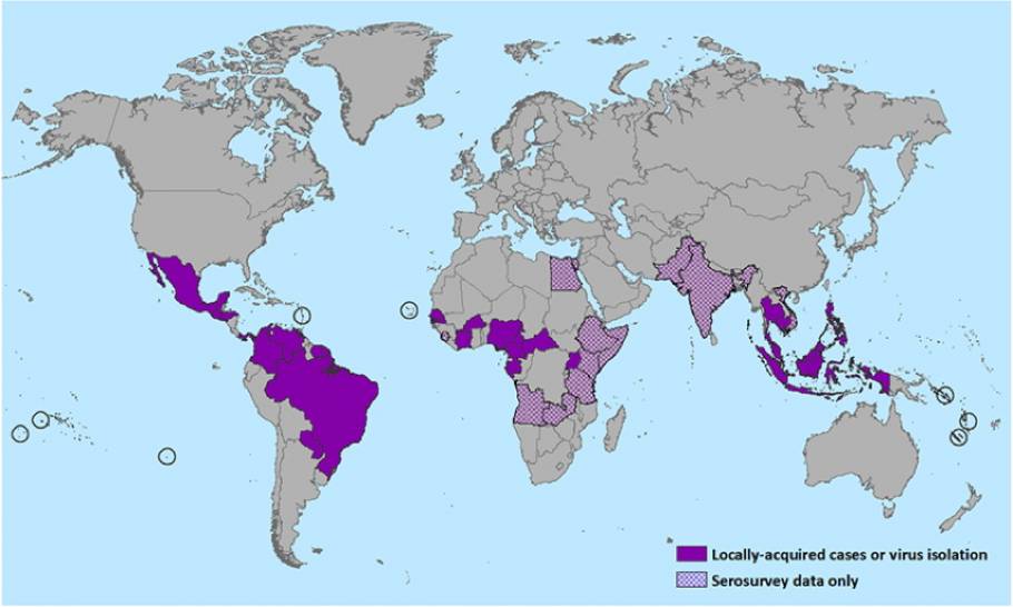 zika nel mondo
